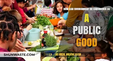 Environment as a Public Good: Understanding Its Collective Value and Benefits