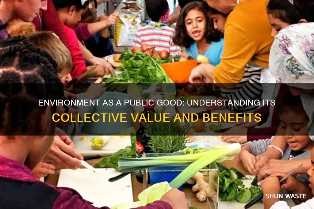 how can environment be considered as a public good