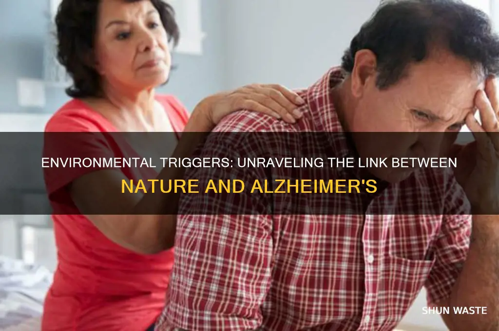 how can environment cause alzheimer