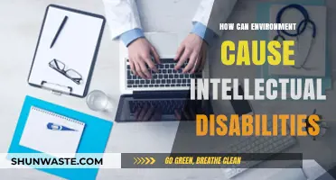 Environmental Factors and Their Impact on Intellectual Disabilities Explained