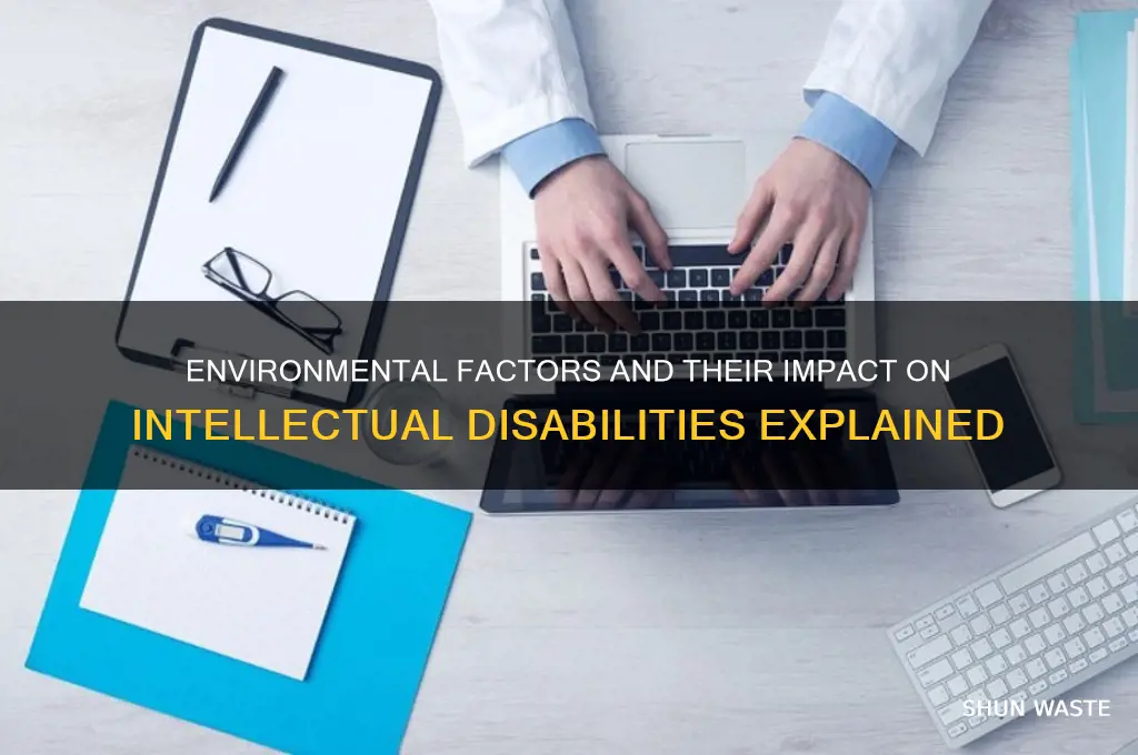 how can environment cause intellectual disabilities