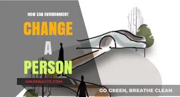 How Surroundings Shape Identity: The Impact of Environment on Personal Growth