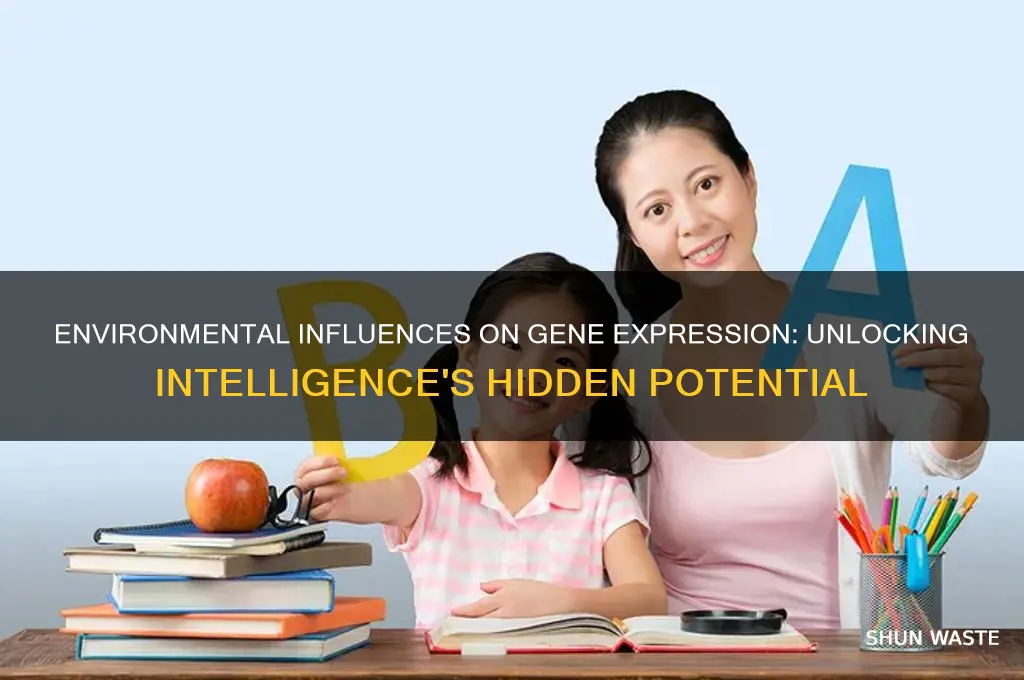 how can environment change gene expression such as intelligence