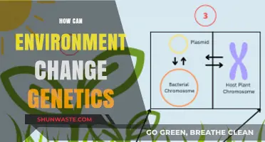Environmental Influence: Unraveling How Surroundings Alter Genetic Expression and Evolution