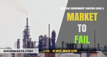 Environmental Concerns and Market Failures: Causes, Impacts, and Solutions