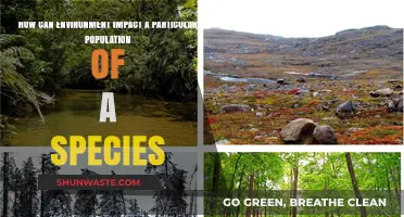 Environmental Influences: Shaping Species Populations and Their Survival Strategies