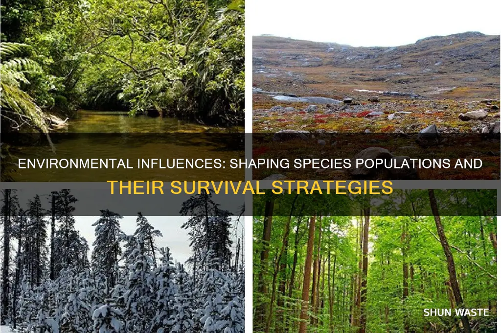 how can environment impact a particular population of a species