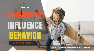 Environmental Impact: Shaping Human Behavior and Daily Decision-Making
