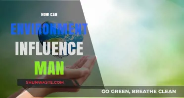 How Surroundings Shape Humanity: The Impact of Environment on Man