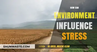 Environmental Factors: Uncovering How Surroundings Impact Stress Levels