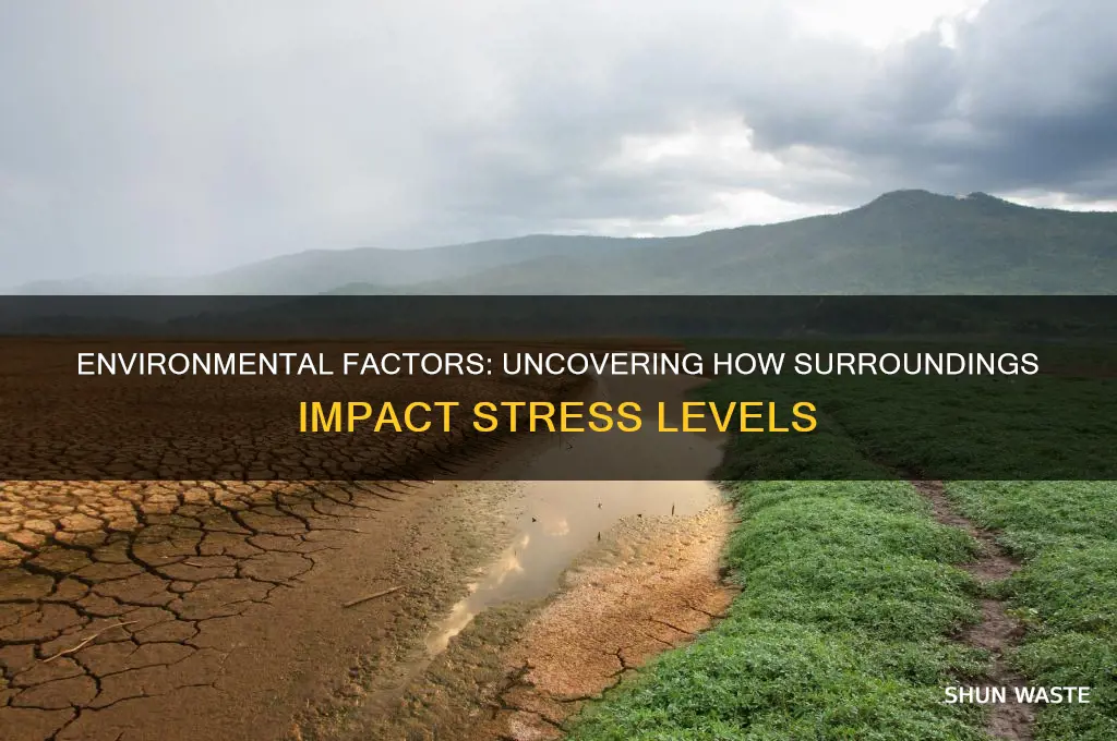 how can environment influence stress