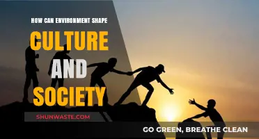 Environment's Impact: Shaping Culture, Society, and Human Identity