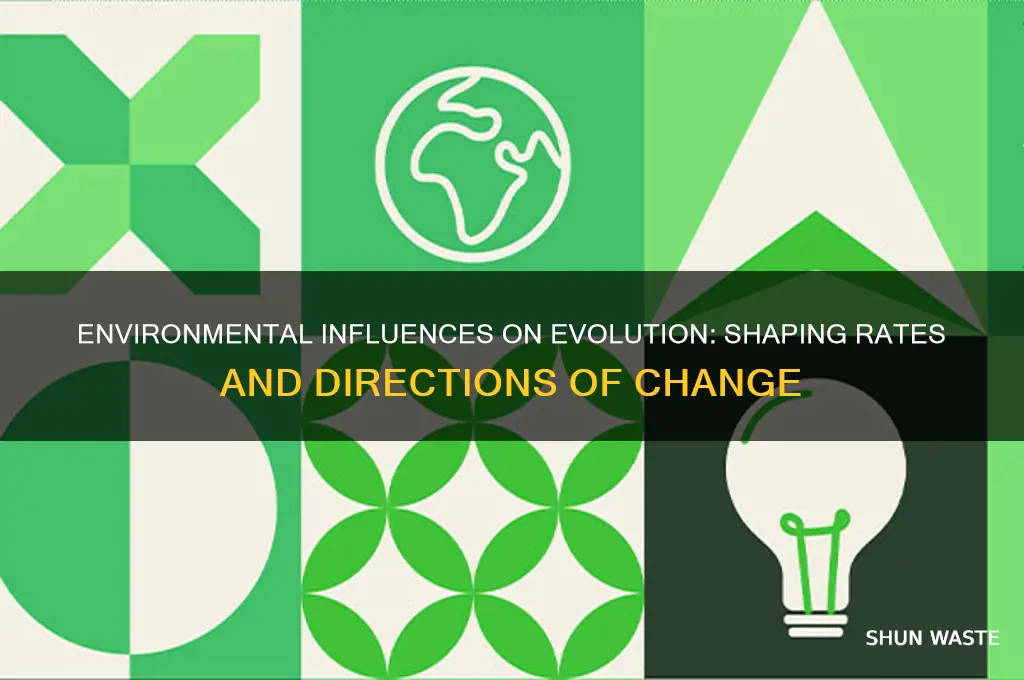 how can environments affect evolutionary rate and direction