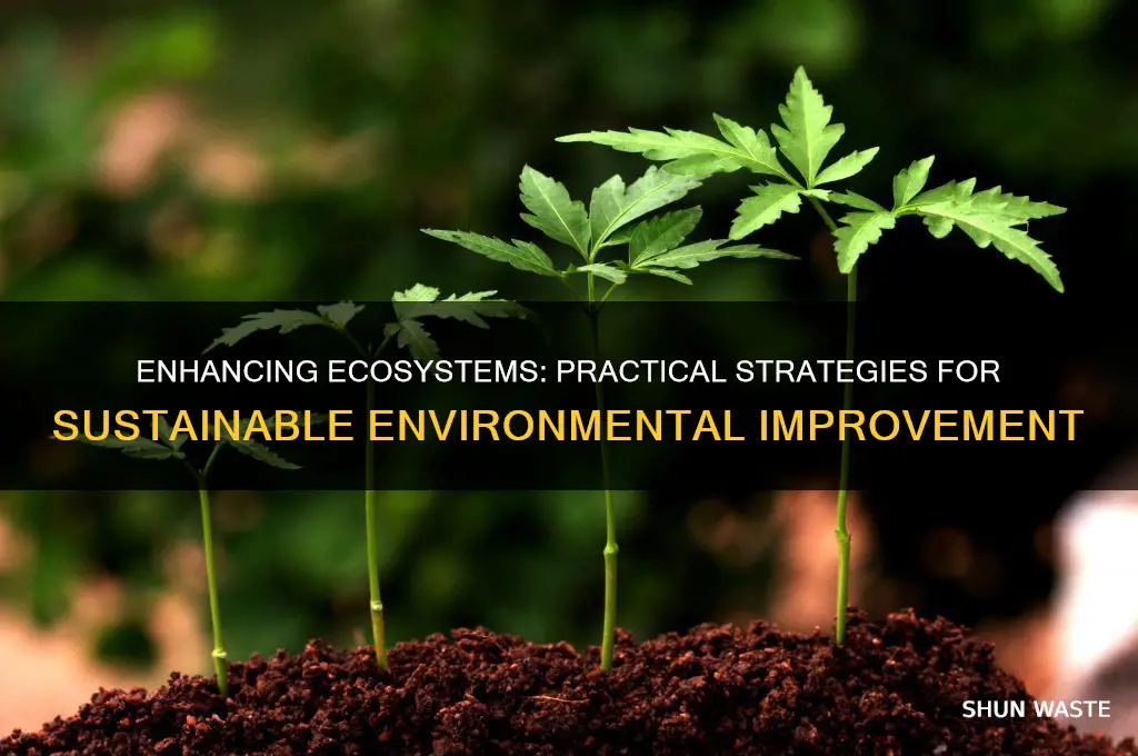 how can environments be better improved