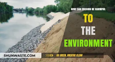 Erosion's Devastating Impact: How Soil Loss Harms Our Fragile Ecosystems