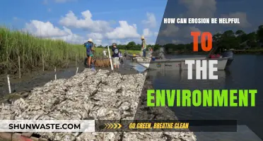 Erosion's Surprising Benefits: Shaping Ecosystems and Supporting Life