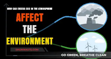 Excess CO2's Impact: Environmental Consequences and Global Climate Threats