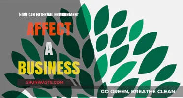 Navigating External Forces: How Environment Shapes Business Success and Challenges
