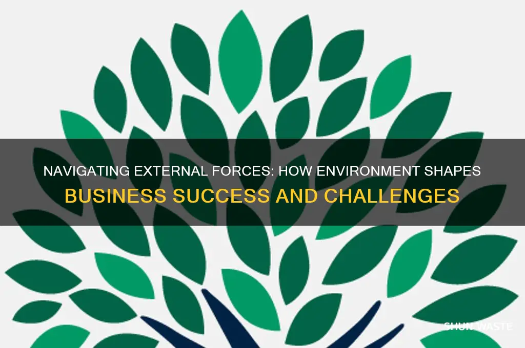 how can external environment affect a business