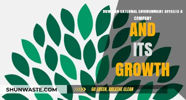 External Factors Shaping Business Growth: Navigating Challenges and Opportunities