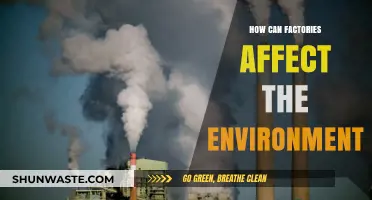 Factory Footprint: Environmental Impacts and Sustainable Solutions Explored