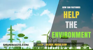 Sustainable Manufacturing: How Factories Can Drive Environmental Conservation