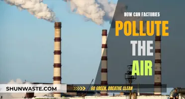 Factories' Air Pollution: Causes and Impacts