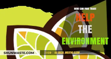 Fair Trade's Green Impact: Sustainable Practices for a Healthier Planet