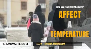 Family Dynamics and Home Environment: Impact on Indoor Temperature Control