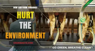 Farm Subsidies' Hidden Costs: Environmental Degradation and Unsustainable Practices