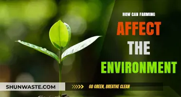 Farming's Environmental Impact: Challenges and Sustainable Solutions Explored