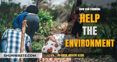 Sustainable Farming Practices: Boosting Ecosystems and Combating Climate Change