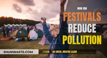 Festivals' Role in Pollution Reduction: Strategies for Change