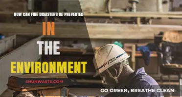 Preventing Environmental Fire Disasters: Essential Strategies for a Safer Ecosystem
