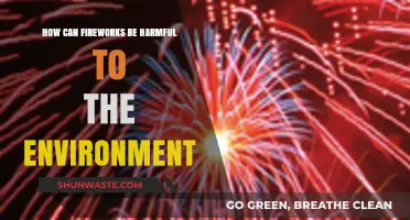Fireworks' Environmental Impact: Pollution, Wildlife Disruption, and Ecosystem Damage