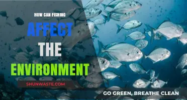 Fishing's Environmental Impact: Balancing Ecosystems and Sustainability