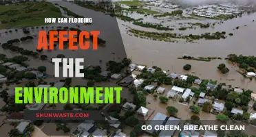 Flooding's Environmental Impact: Ecosystems, Wildlife, and Long-Term Consequences