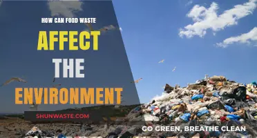 Food Waste's Environmental Impact: A Growing Crisis We Can't Ignore
