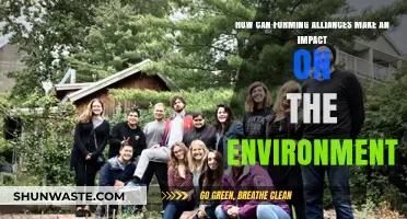 Uniting for Change: How Alliances Drive Environmental Impact and Sustainability