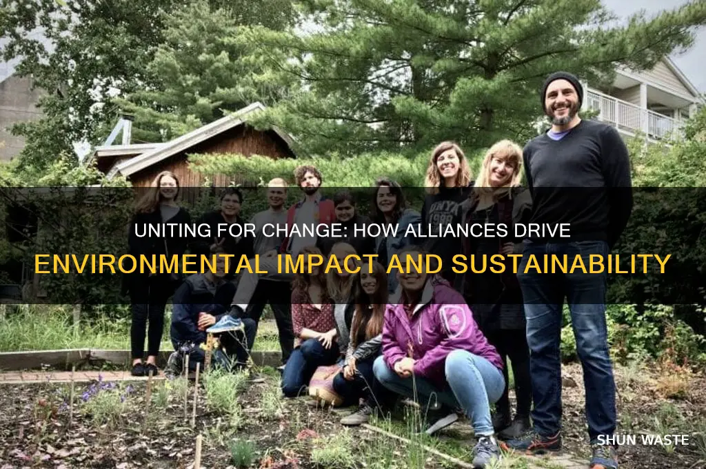 how can forming alliances make an impact on the environment