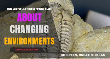 Fossil Clues: Unveiling Environmental Shifts Through Ancient Remains