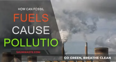 Unveiling the Dark Side: Fossil Fuels and Their Pollution Impact