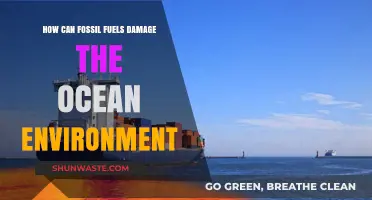 Fossil Fuels' Devastating Impact on Ocean Ecosystems and Marine Life