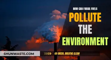 Fossil Fuels: Environmental Pollutants and Their Harmful Impact