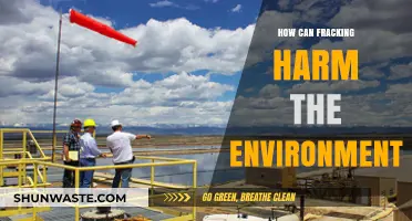 Fracking's Environmental Impact: Risks to Water, Air, and Ecosystems