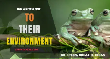 Frogs' Survival Secrets: Adapting to Diverse Environments with Ease