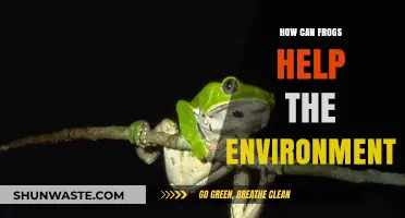 Frogs: Tiny Environmental Heroes and Their Eco-Friendly Impact