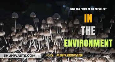 Fungi's Ubiquity: Exploring Their Environmental Dominance and Survival Strategies
