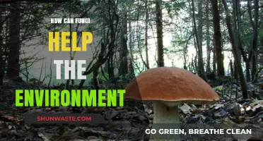 Fungi's Eco-Power: Unlocking Nature's Secrets for a Greener Future