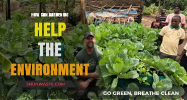 Gardening for a Greener Planet: Eco-Friendly Benefits of Cultivating Nature
